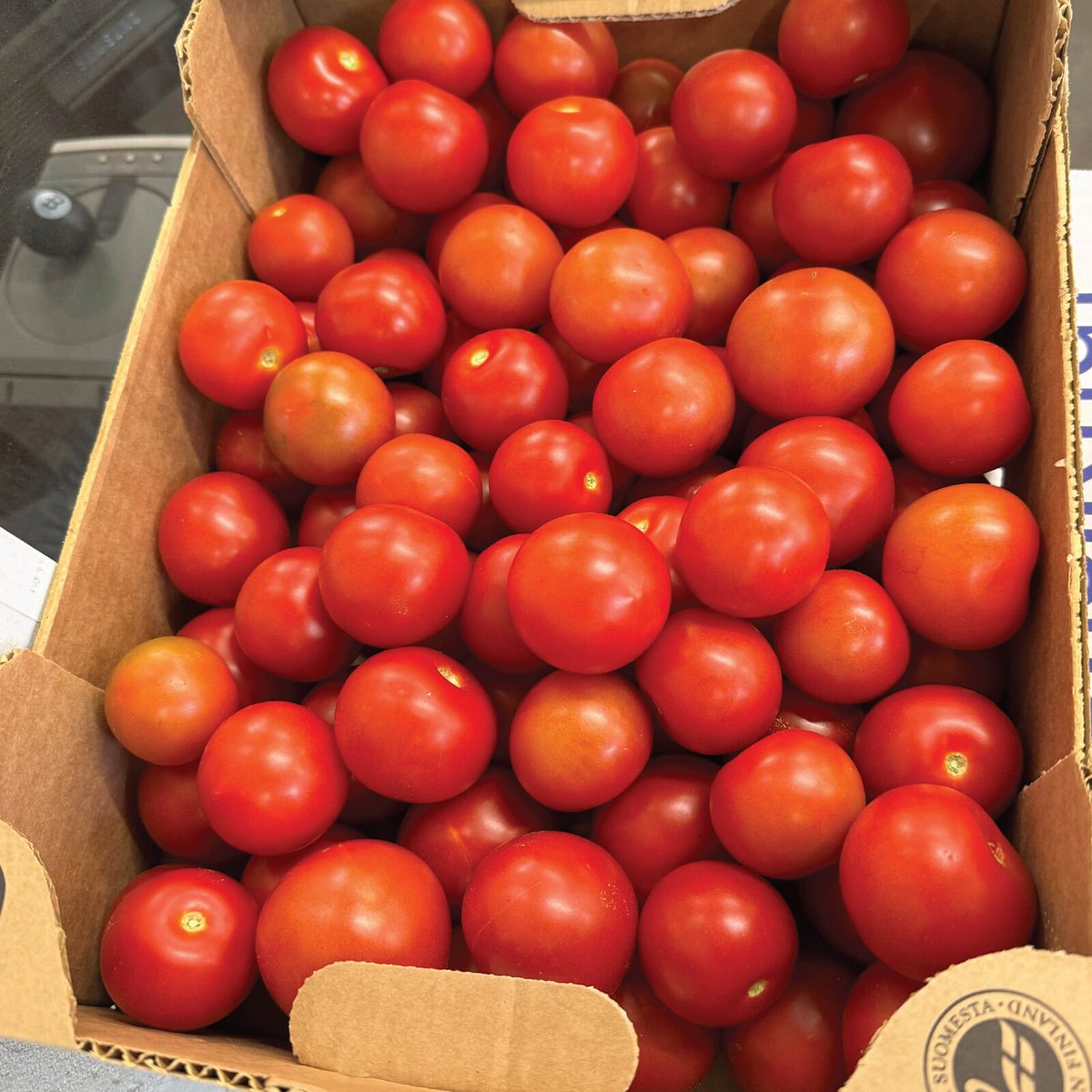 ResQ-tukku-tomaatit